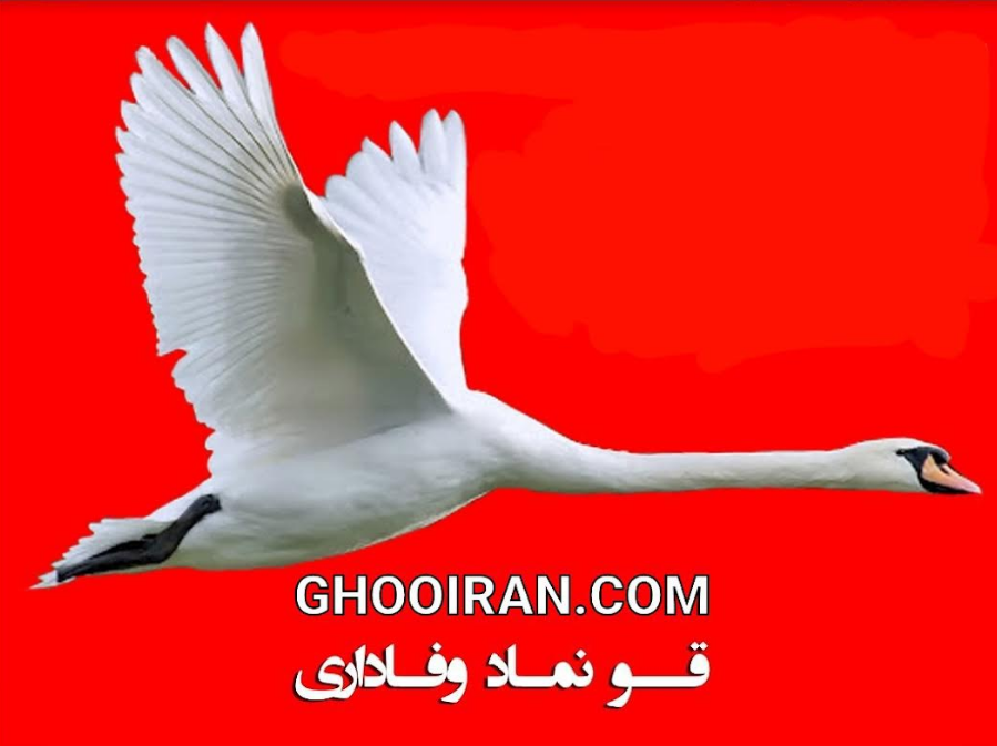 آموزش اکستنشن ابرو اولین مدرس بین المللی در ایران
